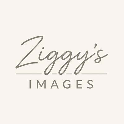 Ziggy’s Images Photography Charlotte County Ziggy's Images Photography Charlotte County
