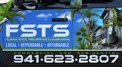 Florida State tree service and landscaping